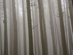 -山王坪喀斯特国家生态公园
