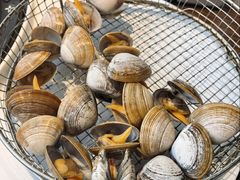 黄蚬子-海味当家·蒸锅海鲜(星海公园店)