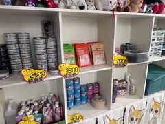 -楼上猫咖(罗湖店)