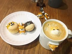 -柴务处·柴犬主题狗咖