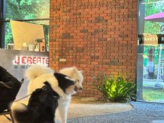 -J Create城市露营咖啡·简餐·宠物(上海动物园店)