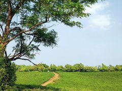 -南京市江宁方山