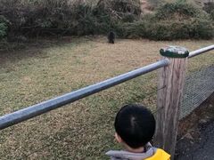 -企鹅岛