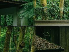 -云栖竹径