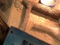景点-上海大自然野生昆虫馆