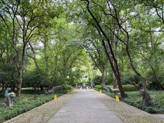-九曜山