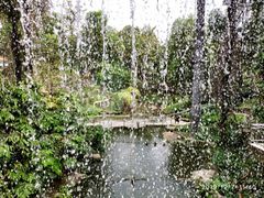 -吉隆坡雀鸟公园