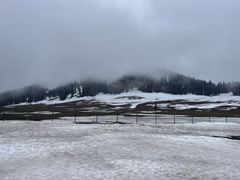 -新疆那拉提国家旅游度假区