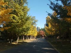 -长白岛森林公园