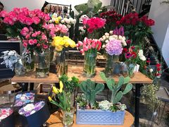 -植物学家的女儿(北马道巷店)