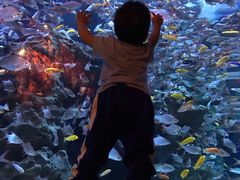 -成都浩海立方海洋公园