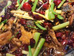 -老板恋上鱼(恒隆广场店)