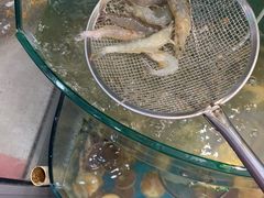 -仙螺岛海鲜自助餐厅(总店)