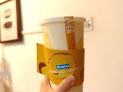 -Blueglass酸奶(财富购物中心店)