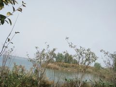 -南湖国家城市湿地公园