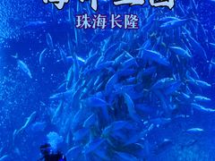 -珠海长隆海洋王国