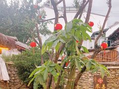 -尽善百年古院餐厅(王家老宅店)