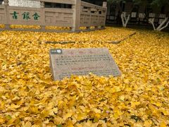 -上海方塔园