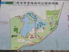 -官港森林公园