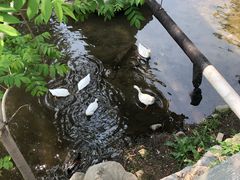 -北京水岸山吧度假村(雁栖镇店)