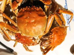 -星伦多自助料理·涮烤一体(嘉兴八佰伴店)