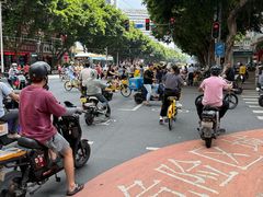 -周门传统竹升面