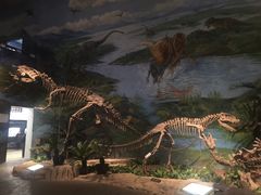 -自贡恐龙博物馆