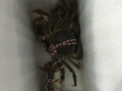 -丫丫蟹庄·苏式园林农家乐·阳澄湖大闸蟹(阳澄湖莲花岛店)