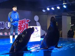 -邯郸海洋世界
