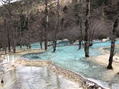 -黄龙山原始森林景区