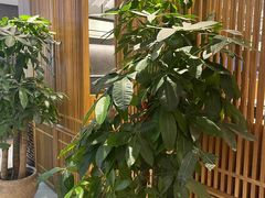 -闫府私房菜·百年鲁菜(恒隆店)