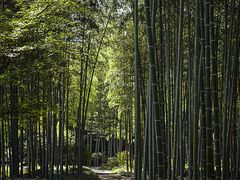 -黄公望隐居地