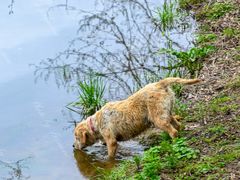 -新安江山水画廊风景区