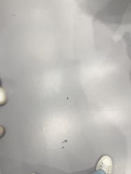 -G-STEPS舞蹈工作室