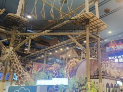 -卡通尼·Safari非洲探索乐园·生日会(金桥国际商业广场店)