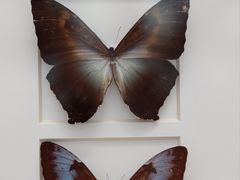 -洛阳龙门海洋馆
