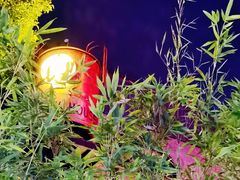 -Big Bamboo 大竹子体育主题餐厅(虹梅路店)
