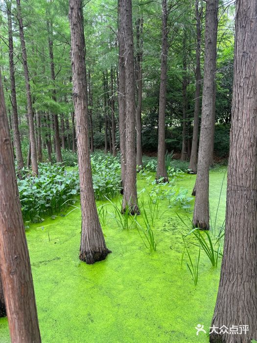 云龙湖旅游景区图片