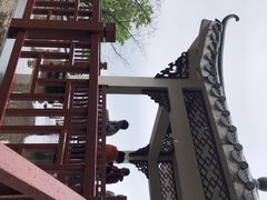 -广州市石门国家森林公园