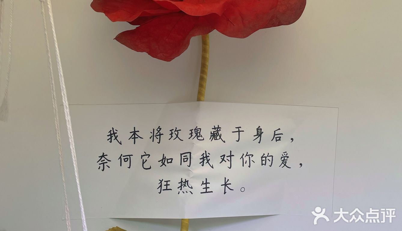 爱丽丝梦游仙境🧚🏻‍♀️桂林爱拍照的plmm快冲！