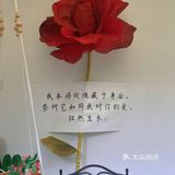 爱丽丝梦游仙境🧚🏻‍♀️桂林爱拍照的plmm快冲！