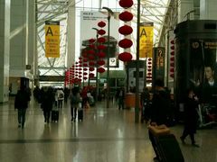 芋艿煲-阿英煲(凉城路店)