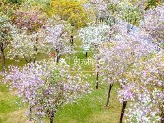 -晓港公园