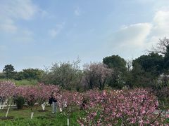 -玄武湖景区-情侣园游乐场
