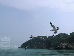 -海驴岛(荣成市)