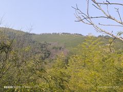 -天目湖涵田半山温泉
