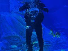 -沈阳海洋探索中心