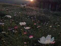 -龙寺生态园
