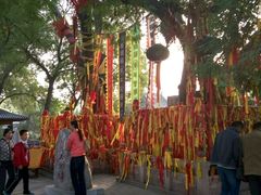 -大槐树寻根祭祖园