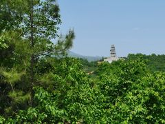 -寻龙山风景旅游区